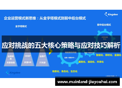 应对挑战的五大核心策略与应对技巧解析