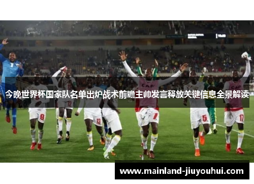 今晚世界杯国家队名单出炉战术前瞻主帅发言释放关键信息全景解读